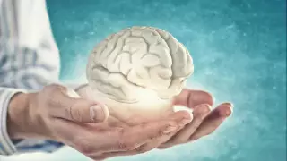 Живую и функциональную ткань мозга впервые напечатали на 3D-принтере