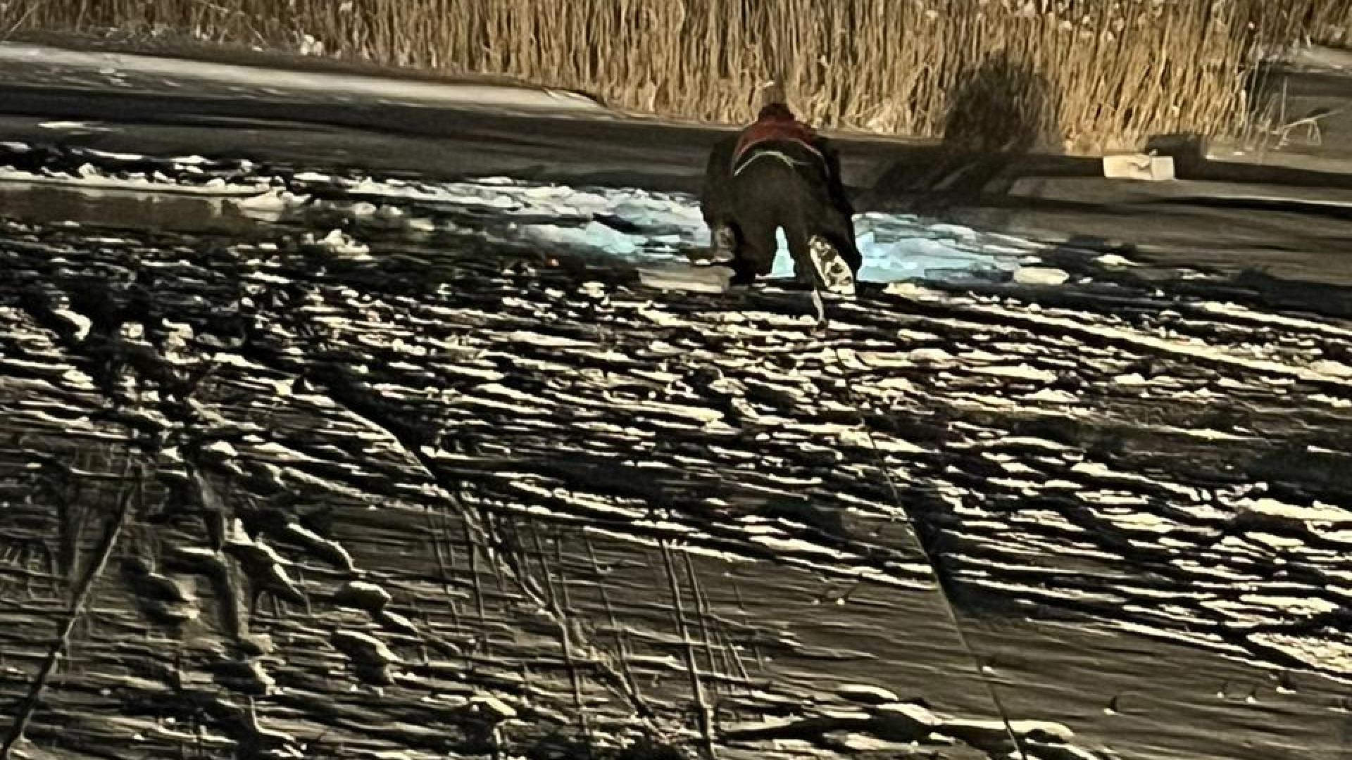 Водитель погиб, провалившись под лед на машине в канале имени Сатпаева: 03  февраля 2024 18:21 - новости на Tengrinews.kz