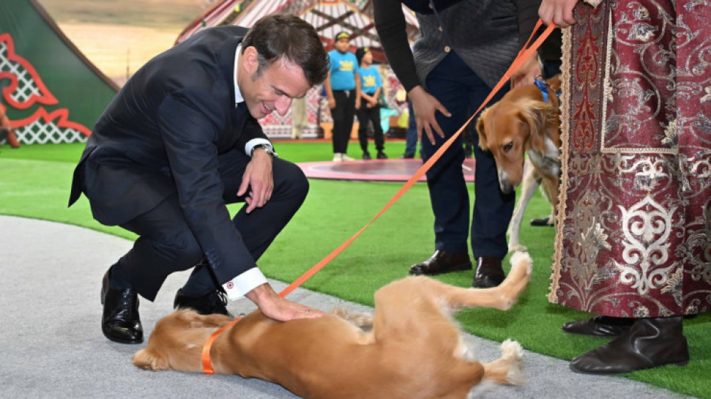 Подарок Токаева: французская газета описала забавный случай с собаками Макрона