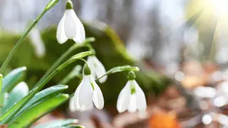 Сколько дней казахстанцы отдохнут в марте 2024 года