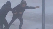 "Съезжу к родственникам": казахстанцы шутят о буране в Актобе