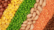 Эти четыре простых продукта помогут снизить холестерин