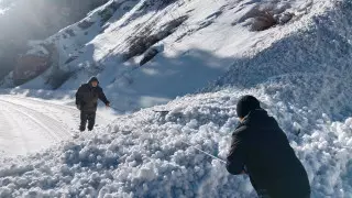 Лавины сошли в горах Алматинской области