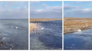 На сколько оштрафовали отель Rixos за сбросы в озеро Караколь