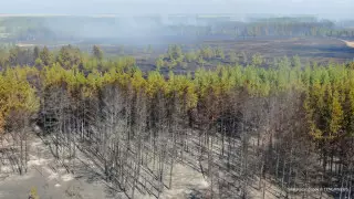 Минэкологии выделят 68,6 миллиарда тенге. На что их собираются потратить