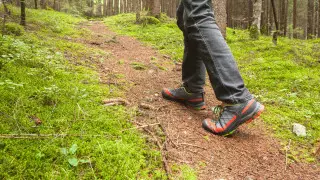 Министр заявил, что лесникам в Казахстане подняли зарплату до 250 тысяч тенге