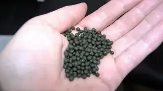 В каком регионе Казахстана больше всего любителей насвая