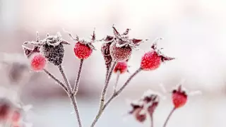 Морозы до 38 градусов идут в Казахстан