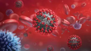 "Незаметный и смертельный": насколько на самом деле опасен Omicron XBB, рассказали санврачи