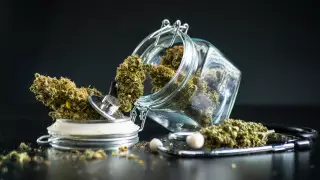 Медицинский каннабис легализовали в Украине