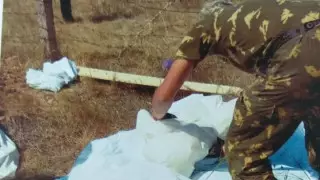 Рақымжан Қошқарбаев ауылында бейітті су шайып кетуі мүмкін