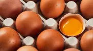Зафиксировать цены на яйца до конца года предложили в Казахстане