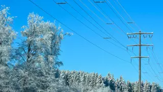 Семей временно остался без электричества