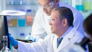 Японские ученые назвали неожиданный способ улучшить работу мозга