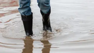 Осадки выше нормы: прогноз погоды на март озвучил глава Минэкологии