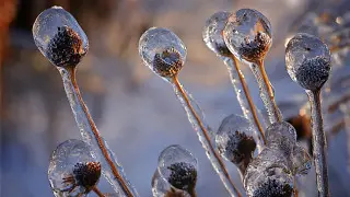 45-градусные морозы сохраняются: погода в Казахстане на 21 февраля