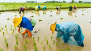 Сколько казахстанцев остаются в трудовом рабстве в Юго-Восточной Азии