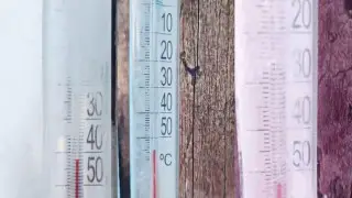 Рекордно низкую за 20 лет температуру зафиксировали на территории казахстанского резервата