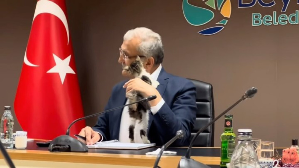 Котенок забрался на мэра турецкого города во время совещания. Реакция чиновника умилила соцсети