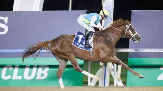 Скакун Кабирхан снят с соревнований в Дубае: известна причина