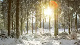 Казахстанцам пообещали солнечные выходные