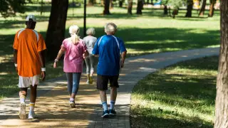 Что будет, если каждый день совершать 15-минутную прогулку