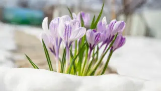 Тепло до 15 градусов придет в Казахстан