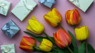 Что подарить маме, жене и дочке на 8 Марта: подборка