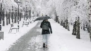 Алматы засыпало снегом