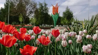 SMS-предупреждения: в одном из городов Казахстана "лето" начнется 8 марта