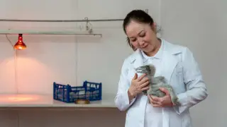 "Жұмысты жыртқыш құстарға күтім жасаудан бастадым" - хайуанаттар бағында жұмыс істейтін әйел