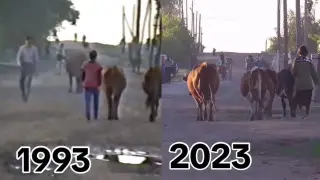 "30 лет без изменений - это стабильность". Казахстанцы высмеяли улицу, "застрявшую в прошлом"