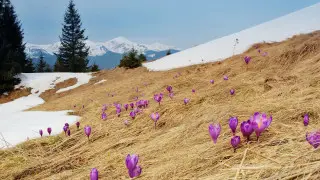 Морозы до 21 градуса, снег и буря: погода в Казахстане на сегодня, 14 марта
