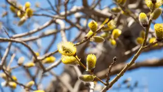 Тепло придет в Казахстан