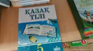 Одни лишь разговоры вокруг госязыка бесполезны, важны конкретные дела - Токаев