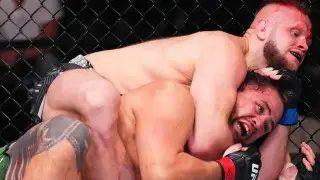 Досрочной победой завершился главный бой тяжеловесов в UFC