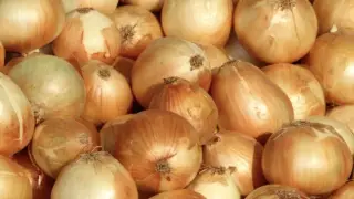 Информацию о пропаже урожая лука прокомментировали в Минсельхозе