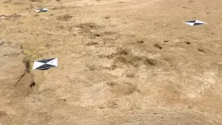 Найдены самые древние следы человека возрастом 90 тысяч лет