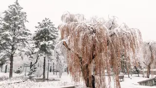 Морозы вернутся в Казахстан