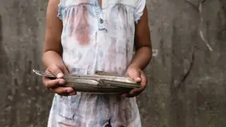 Население Газы находится на грани катастрофического голода – ООН