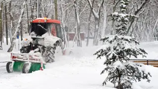 Уголовное дело завели на компанию в Петропавловске за повреждение зеленых насаждений
