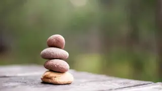 В Южной Корее стали скупать камни вместо домашних питомцев