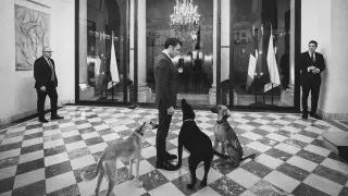 Подарок Токаева: Макрон показал своих казахских тазы