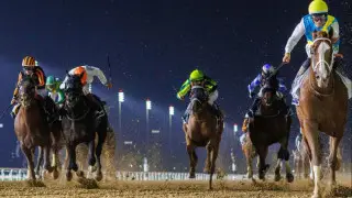 Появилась информация о "гражданстве" скакуна Кабирхана