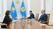 "Трудолюбие и профессионализм" - Президент обсудил с экспертом ценности казахстанцев