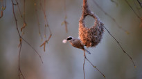 Фото:depositphotos.com