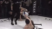 Судья избил бойца MMA во время поединка: видео