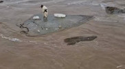 "А сколько погибло на цепи": видео с собакой посреди потопа разлетелось в сети