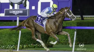 Скакун Кабирхан номинирован на бонус за скорость в "забеге года"