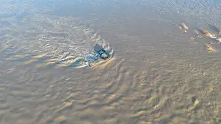 Паводки в Казахстане: что происходит в регионах